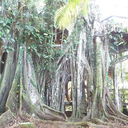 Topos Tree House Cahuita Esterno foto