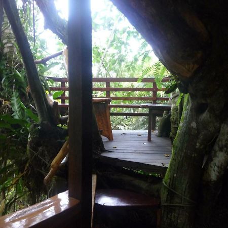 Topos Tree House Cahuita Esterno foto