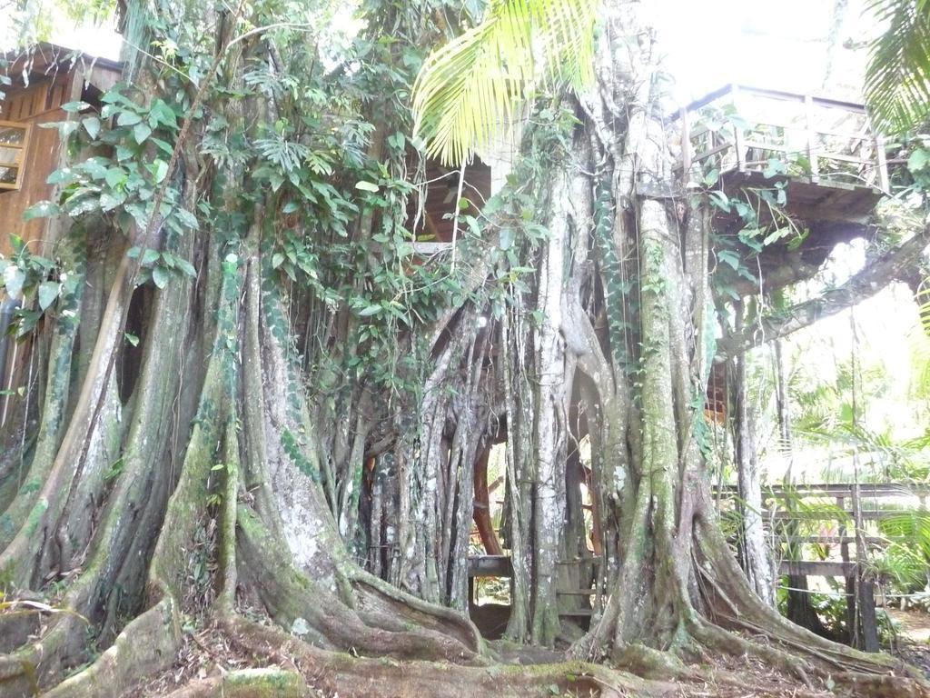 Topos Tree House Cahuita Esterno foto