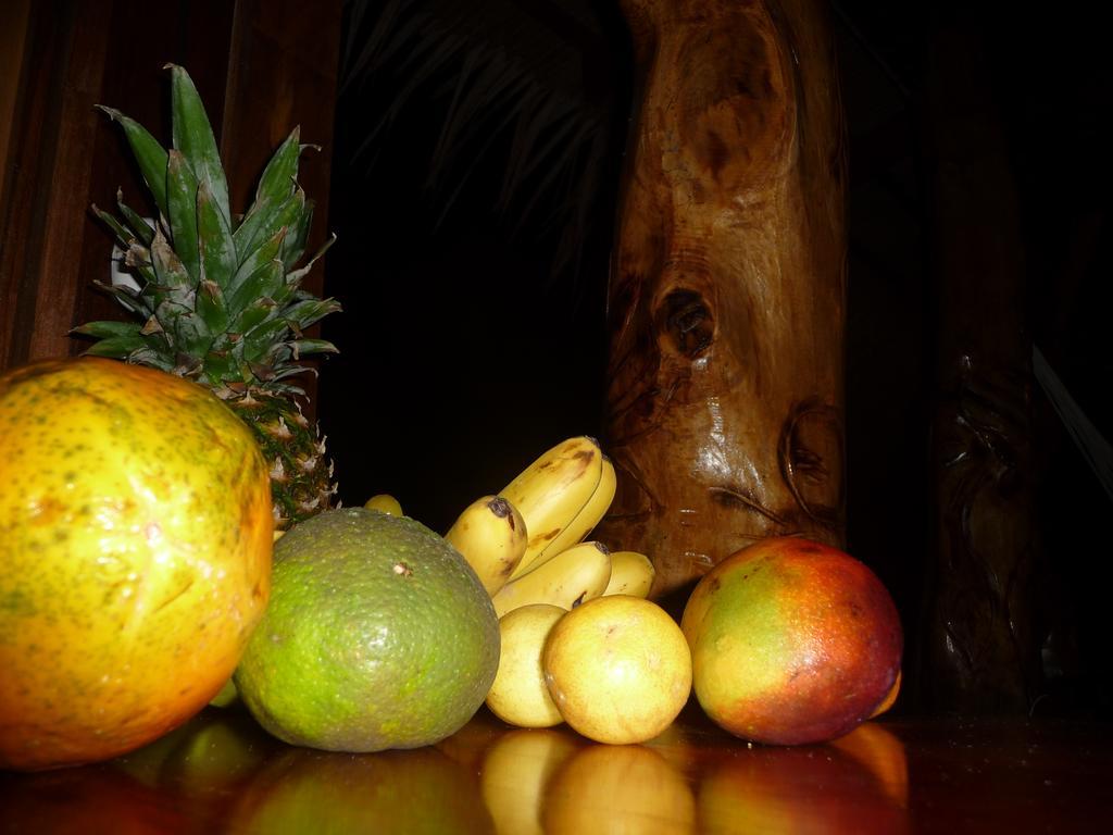 Topos Tree House Cahuita Esterno foto