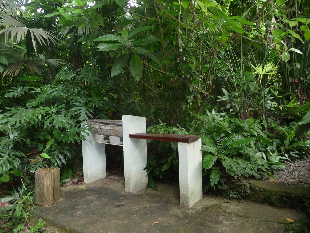 Topos Tree House Cahuita Esterno foto