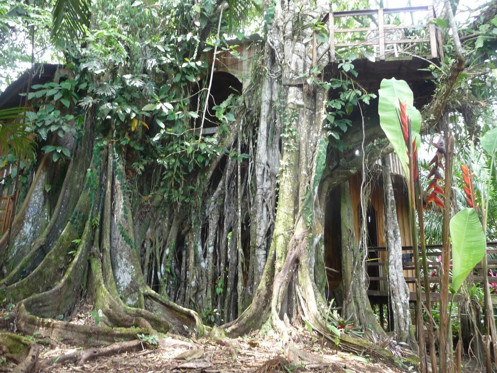 Topos Tree House Cahuita Esterno foto