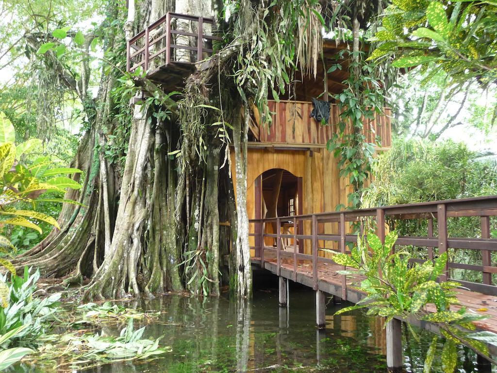 Topos Tree House Cahuita Esterno foto