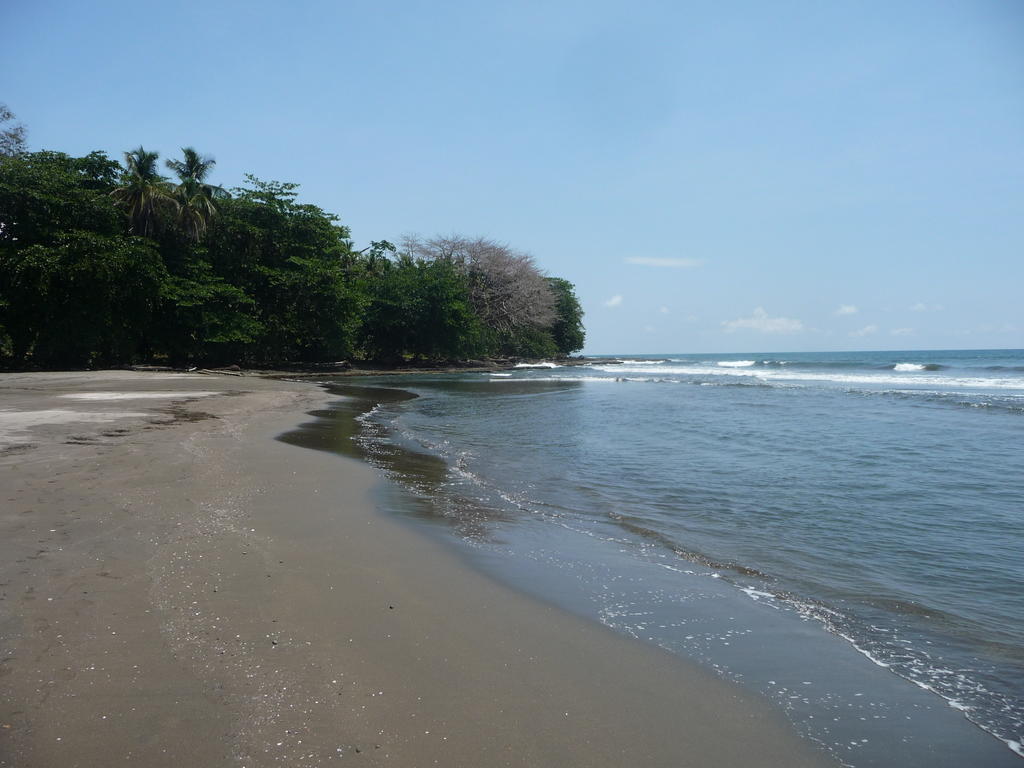 Topos Tree House Cahuita Esterno foto