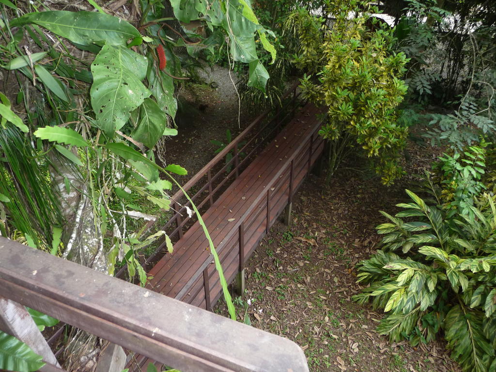 Topos Tree House Cahuita Esterno foto