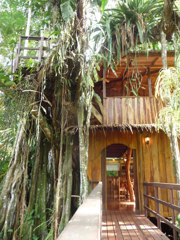 Topos Tree House Cahuita Camera foto