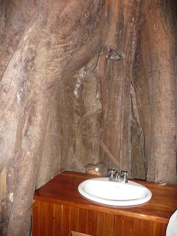 Topos Tree House Cahuita Esterno foto