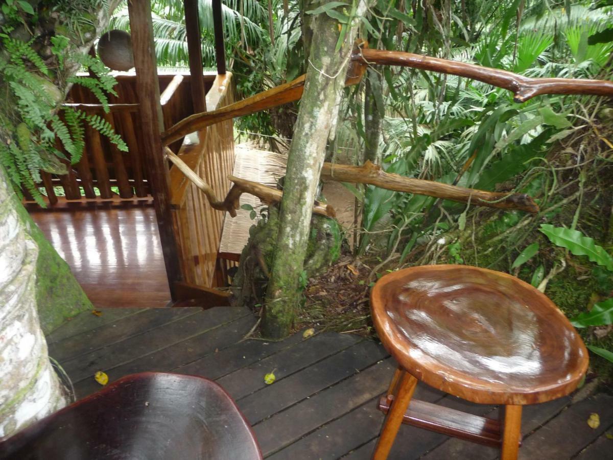 Topos Tree House Cahuita Esterno foto